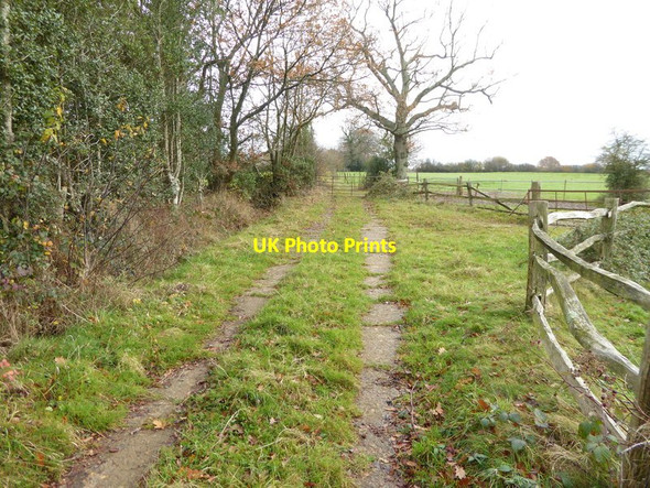 Photo 6"x4" Footpath going east towards Southland Farm Warninglid c2016