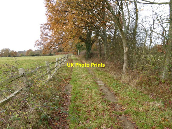 Photo 6"x4" Footpath going west from Southland Farm Warninglid c2016