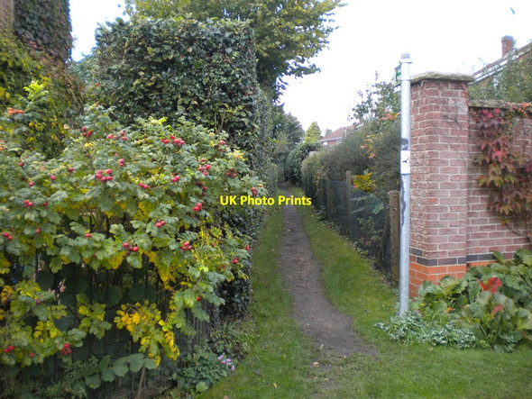 Photo 6"x4" Public footpath off Walnut Tree Lane, East Bridgford East Bridgford c2016