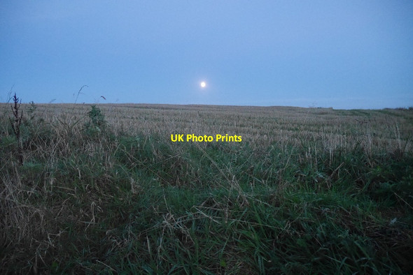 Photo 6"x4" Stubble, Row Doune\/NN7301 c2016