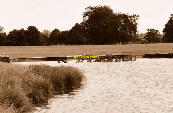 Photo 6"x4" Red Deer in Lake, Badminton Park, Gloucestershire 2015 Badminton c2015