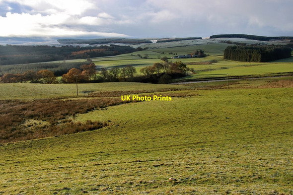 Photo 6"x4" Farmland by the River Nith Sanquhar c2016
