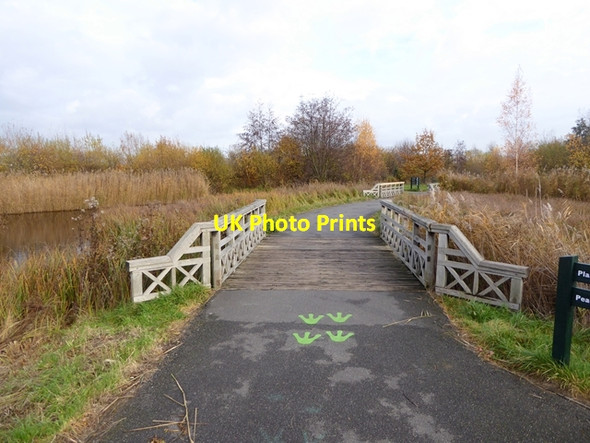 Photo 6"x4" Path and footbridge in the London Wetland Centre Barnes c2016