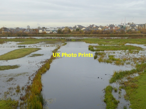 Photo 6"x4" Grazing Marsh, London Wetland Centre Barnes c2016