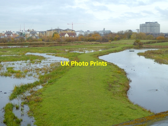 Photo 6"x4" Grazing Marsh, London Wetland Centre Barnes c2016 P1