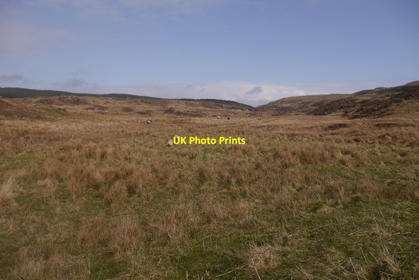Photo 6"x4" Rough grazing, Tormisdale Kilchiaran c2016