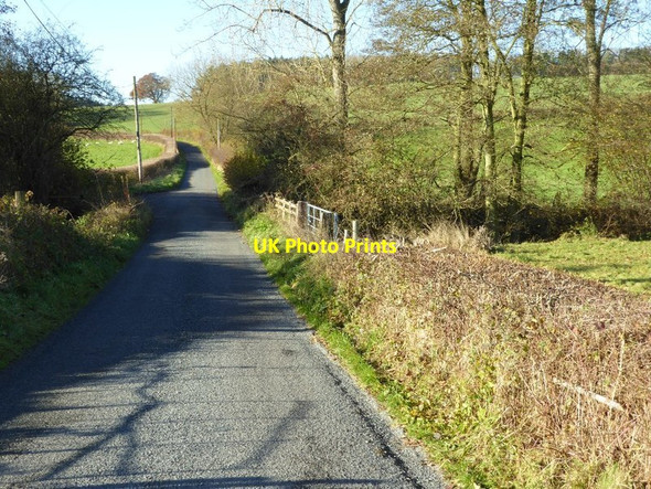 Photo 6"x4" Country road near Hatfield Docklow c2016
