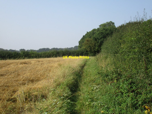 Photo 6"x4" Approaching Cocked Hat Plantation Moorhouse\/SK7566 c2016
