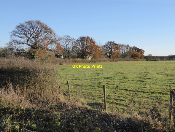 Photo 6"x4" Farmland south of Croydon Barn Lane Horne c2016