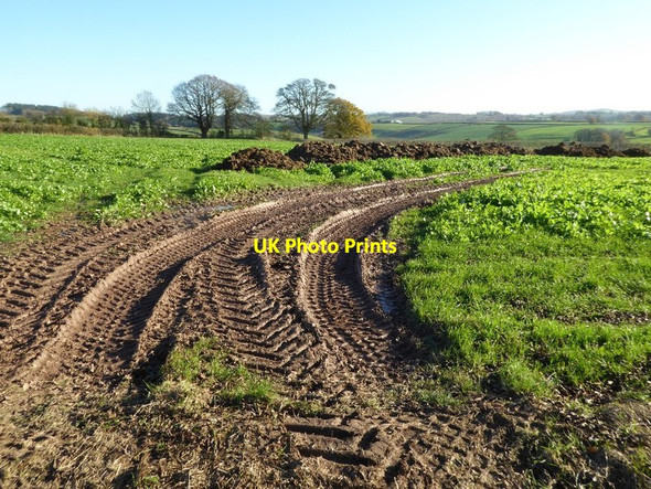Photo 6"x4" Tyre tracks in a field Hamnish Clifford c2016