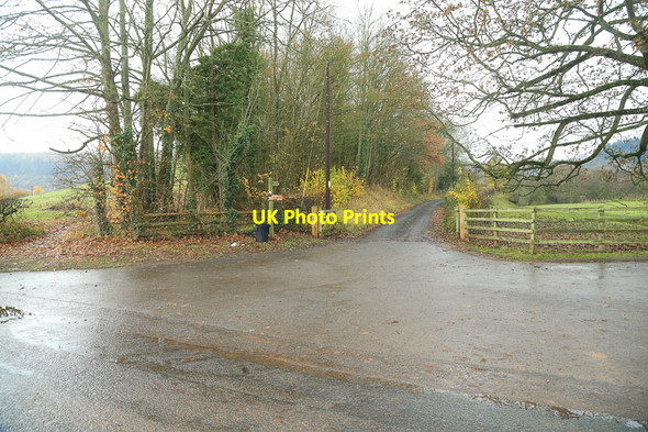 Photo 6"x4" Track to Noverton Farm Sapey Common c2016