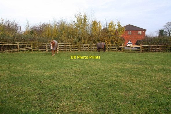 Photo 6"x4" Field west of Whitchurch Surgery, Oving Road Oving\/SP7821 c2016