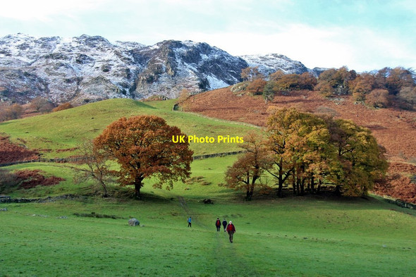 Photo 6"x4" Lingy Bank from the Derwent Rosthwaite\/NY2514 c2016