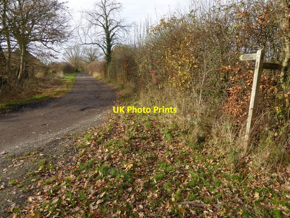 Photo 6"x4" Footpath goes west to Westridge Farm Kent Street\/TQ2221 c2016