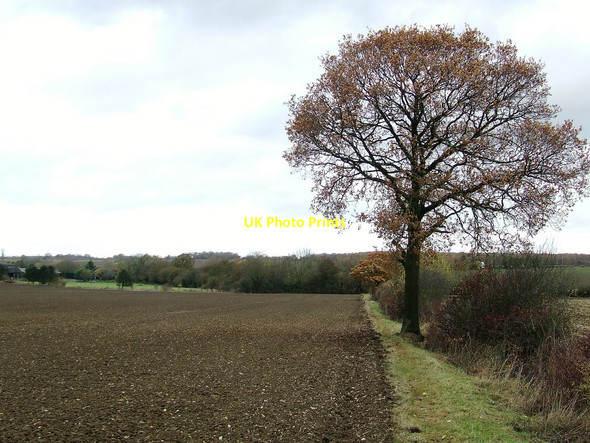 Photo 6"x4" Footpath And Field Edge Debden Green\/TL5732 c2016