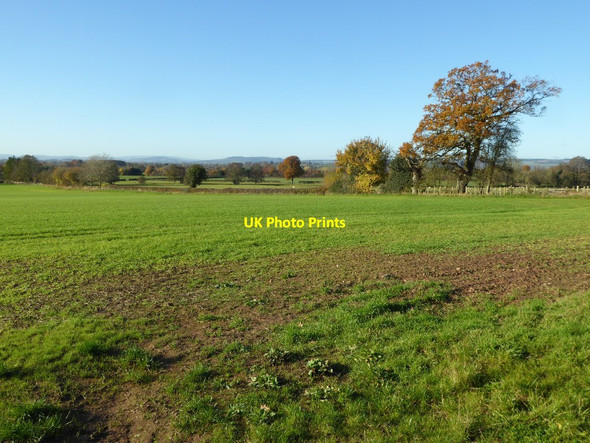 Photo 6"x4" Farmland at Stockton Leominster c2016