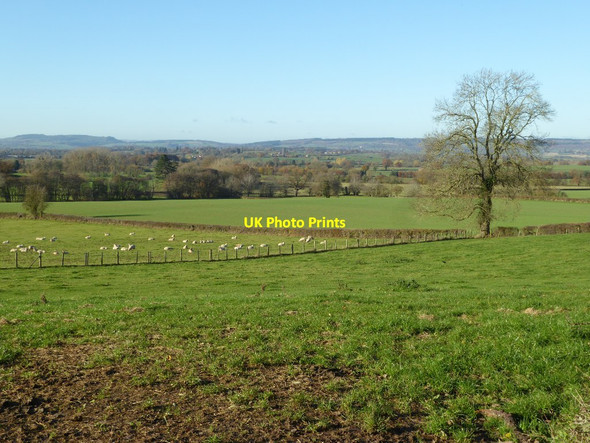 Photo 6"x4" Farmland to the north of Leominster Leominster c2016