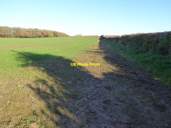 Photo 6"x4" Bridleway and field near Oakwood Farm Grantsfield\/SO5260 c2016