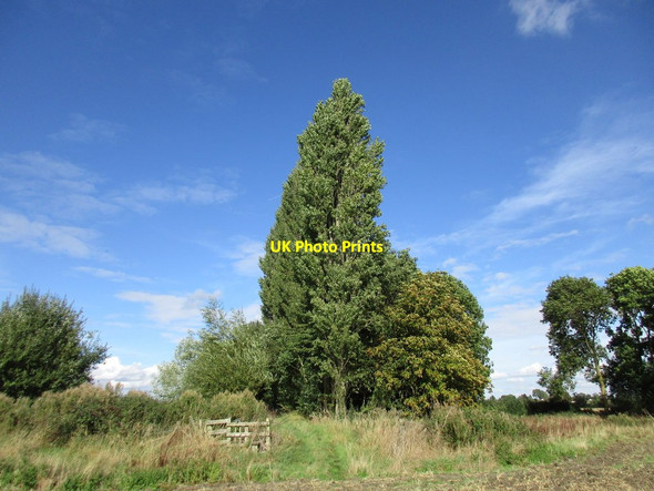 Photo 6"x4" Footpath near the fishponds near Owthorpe Owthorpe c2016