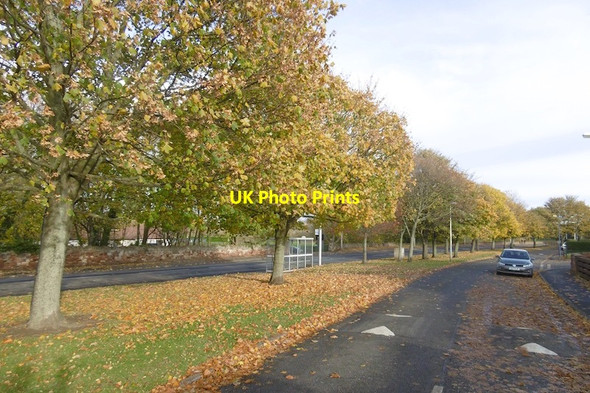 Photo 6"x4" Forthview, West Barns Dunbar c2016