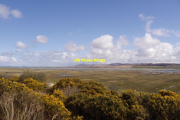 Photo 6"x4" Wetland, Loch Gruinart Aoradh c2016