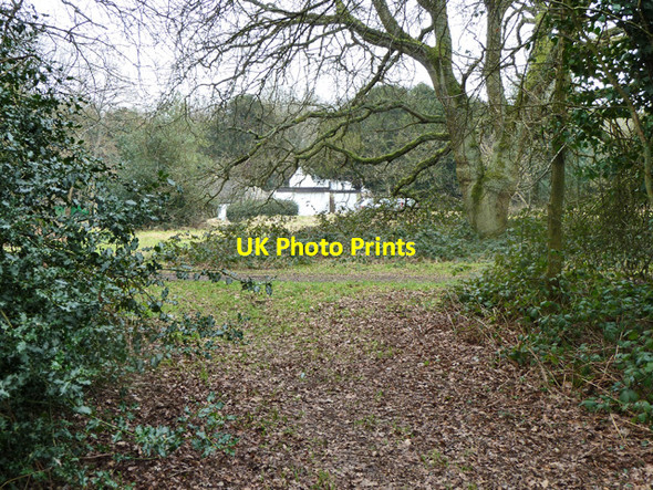 Photo 6"x4" On Coulsdon Common Caterham c2011