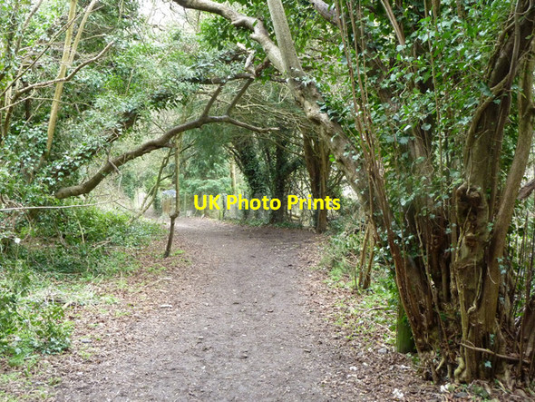 Photo 6"x4" Path from Caterham Drive to Waterhouse Lane Caterham c2011