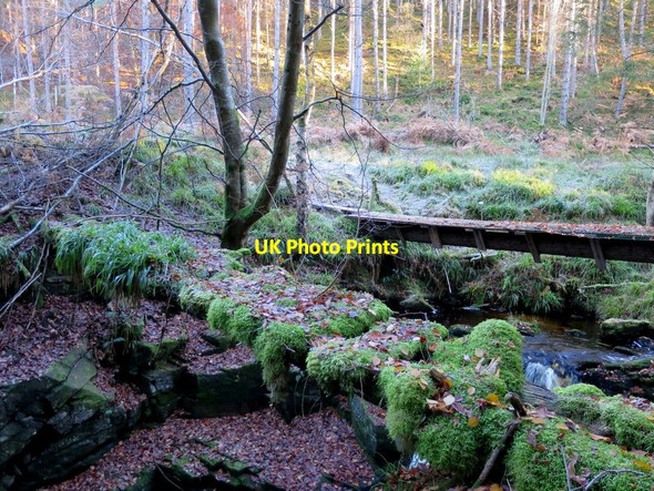 Photo 6"x4" The old and the new bridge in parallel over the Altyre burn Logie\/NJ0150 c2016