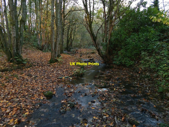 Photo 6"x4" The Craigendoran Burn Helensburgh c2016