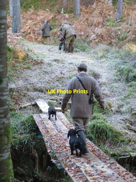 Photo 6"x4" Leaving the field of play at Altyre Logie\/NJ0150 c2016