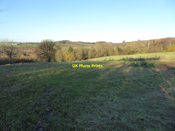 Photo 6"x4" Farmland at Docklow Docklow c2016