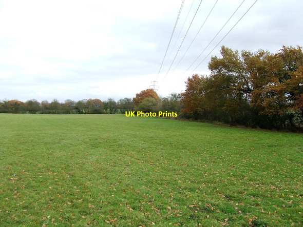 Photo 6"x4" Meadow Under The Power Lines Cutlers Green c2016
