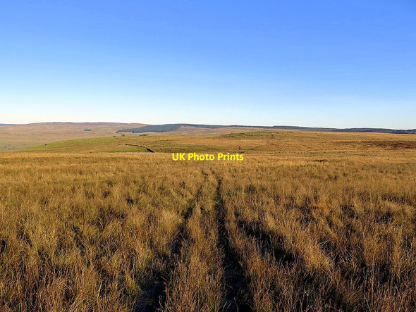Photo 6"x4" Heading for Side Fell via Green Knoll Bewcastle c2016