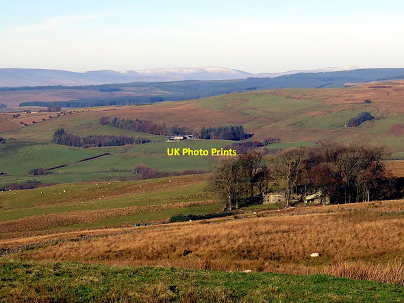 Photo 6"x4" Bushley Bank from the south Bewcastle c2016
