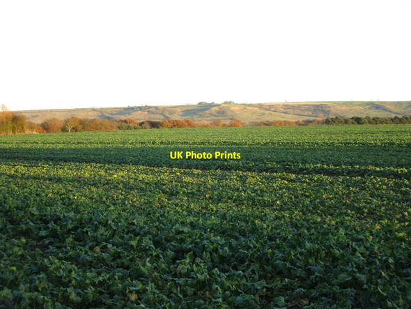 Photo 6"x4" View towards the Wolds Holton le Moor c2016