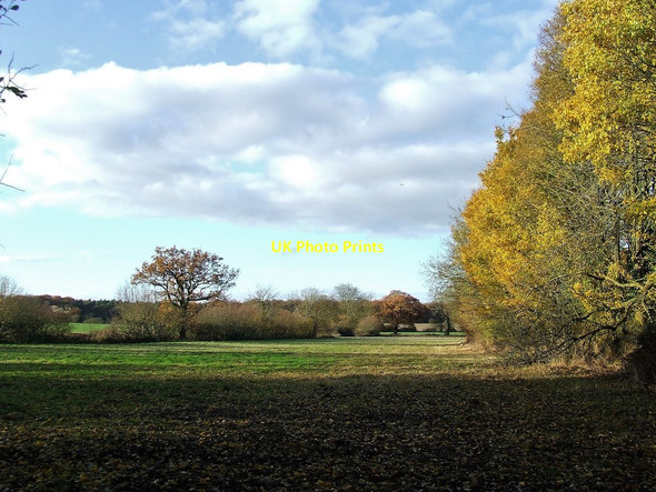 Photo 6"x4" Autumn Colours Howlett End c2016