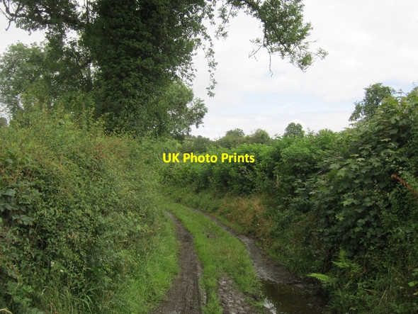 Photo 6"x4" Green lane, Colebatch Newport\/SO3287 c2012