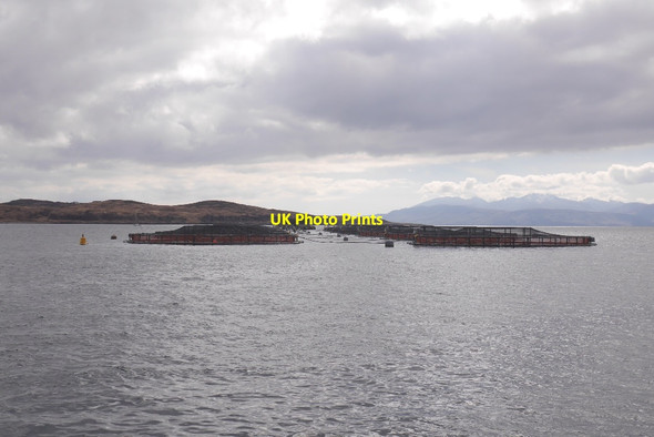 Photo 6"x4" Fish cages, Portavadie Portavadie c2016