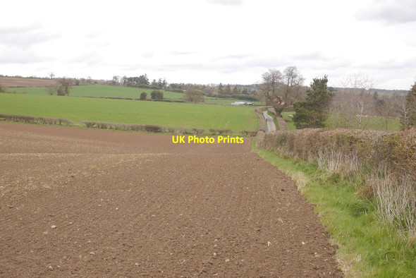 Photo 6"x4" Yellow road, Medley Park Burley\/SO4781 c2016