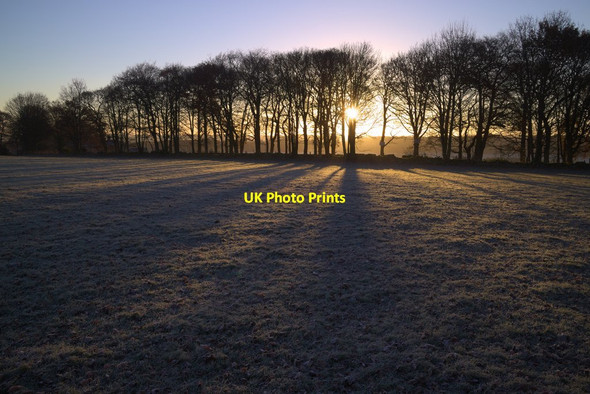 Photo 6"x4" Sunrise through the Trees near Blackhill Farm Eccup c2016