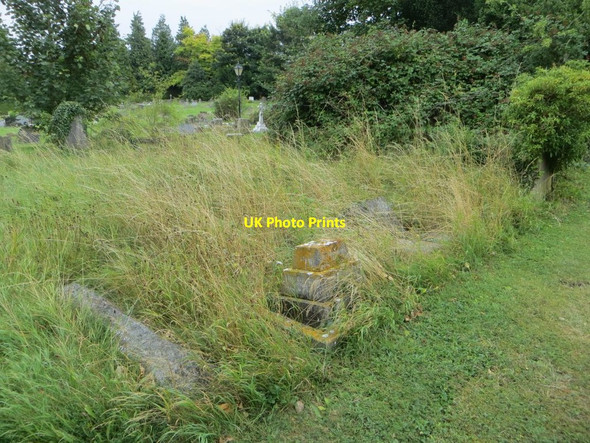Photo 6"x4" An overgrown part Wantage c2016