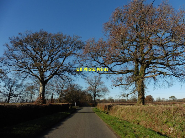 Photo 6"x4" Approaching Leigh Cross Madford c2016