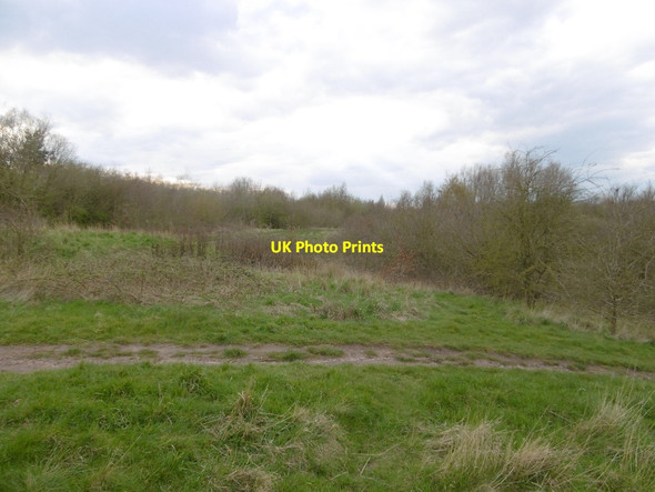 Photo 6"x4" South of the canal, Rough Wood Bloxwich c2016