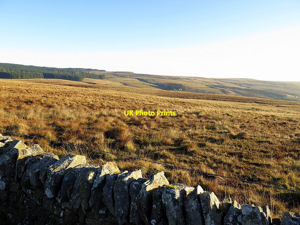 Photo 6"x4" Black Moss Bewcastle c2016
