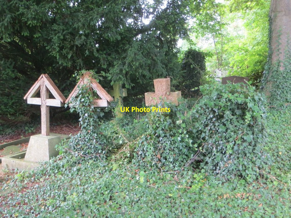 Photo 6"x4" Creeping Ivy Wantage c2016