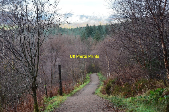 Photo 6"x4" Path from the North Face Car Park Torlundy c2016