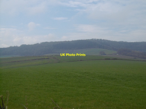 Photo 6"x4" Aconbury Hill Twyford Common c2016