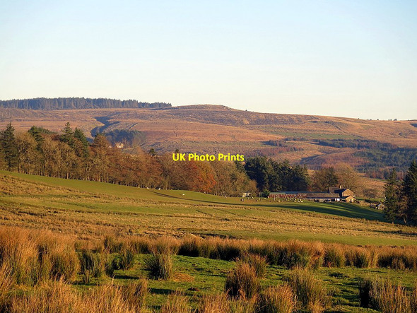 Photo 6"x4" Pastures near Borderrigg Farm from road north of Bewcastle Bewcastle c2016