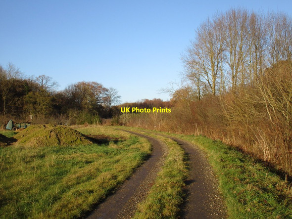 Photo 6"x4" Track approaching Stainton Wood Reasby c2016