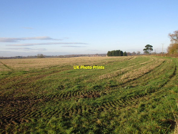 Photo 6"x4" View towards Wickenby Wickenby c2016